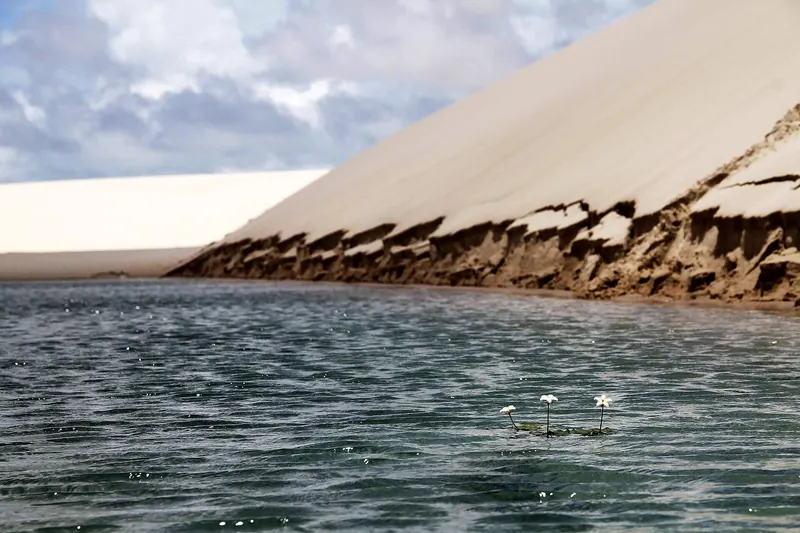 Duna alta às margens da Lagoa das Pedras, em Santo Amaro do Maranhão